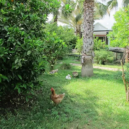 Hotel Hemerans Anatolia