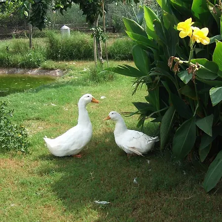 Hotel Hemerans Anatolia