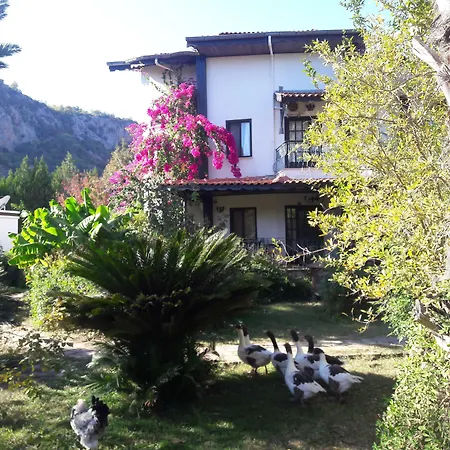 Hemerans Anatolia 4*