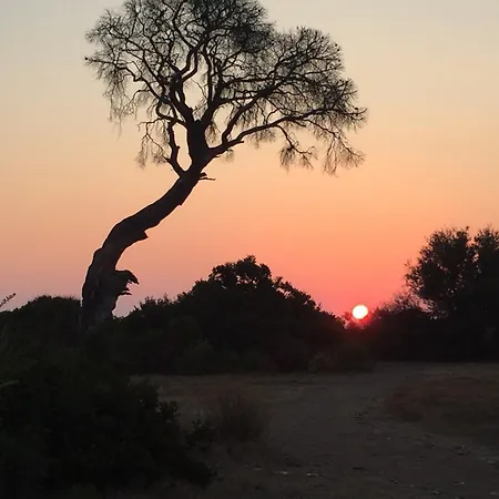 Hemerans Anatolia 4*