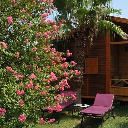 Pensión Hemerans Anatolia 3*