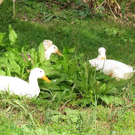 Hotel Hemerans Anatolia Çıralı