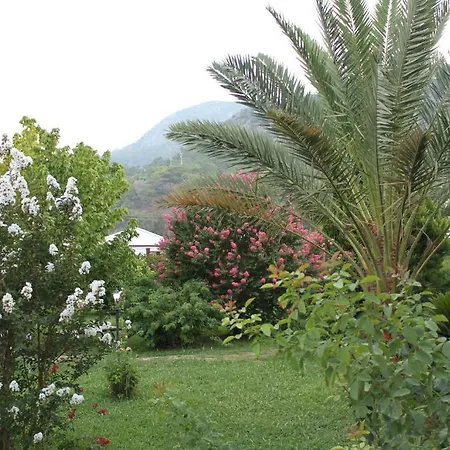 Hemerans Anatolia 4* Çıralı