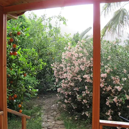 Hemerans Anatolia Hotel Çıralı