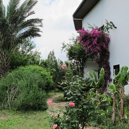 Hemerans Anatolia 4* Çıralı